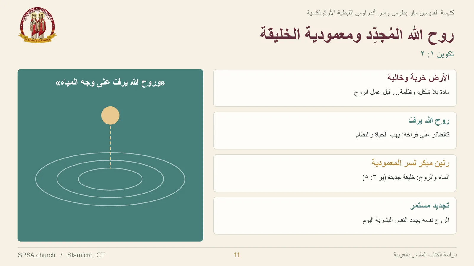 الشريحة ١١ من ٢٤