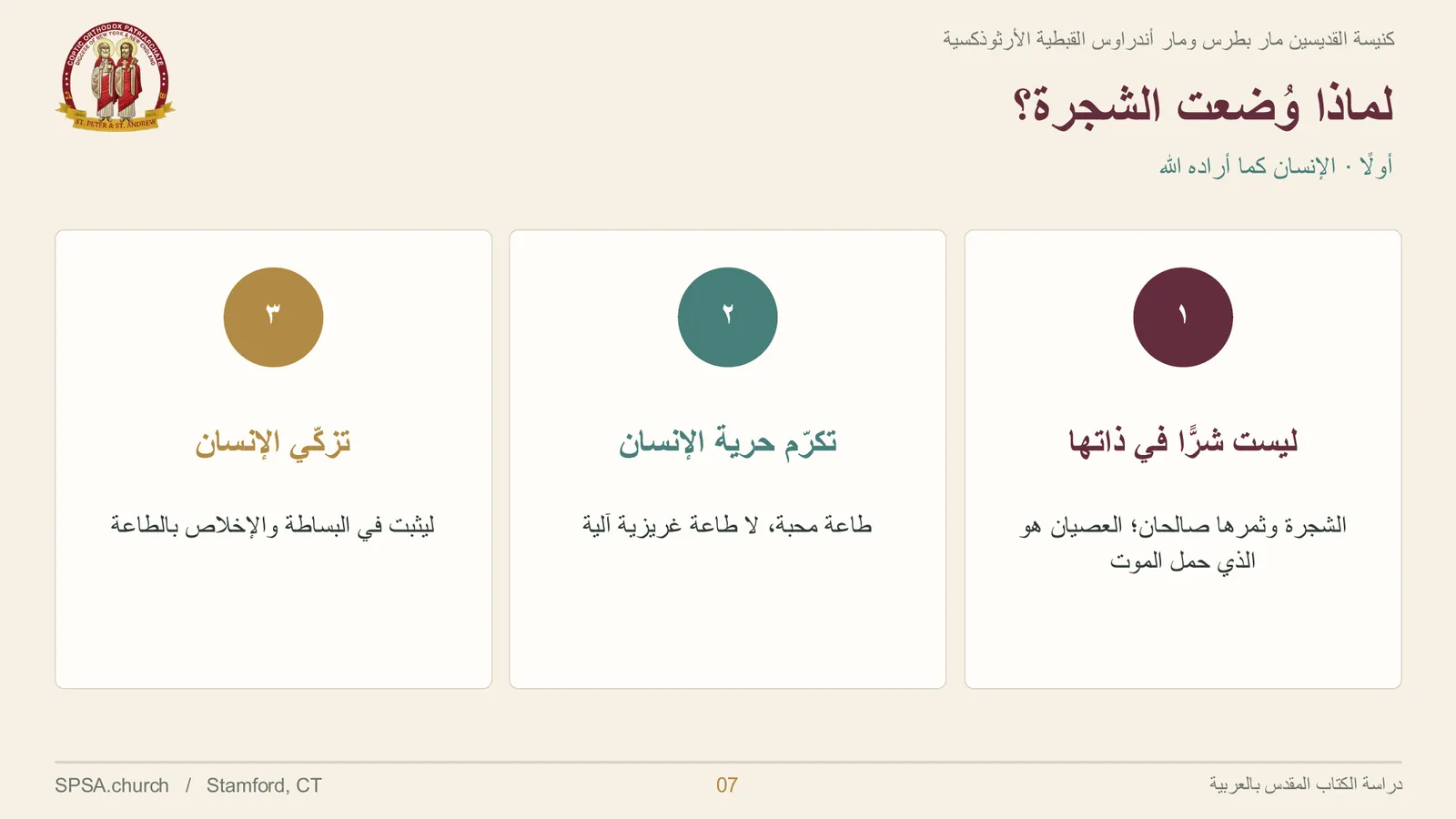 الشريحة ٧ من ٣١